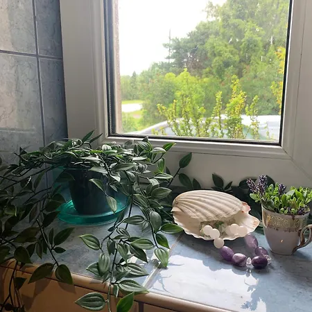 Mariett Homestay szállás
