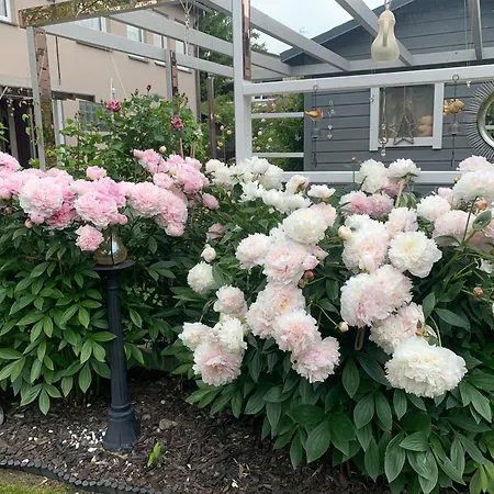 Accommodatie bij particulieren Mariett