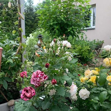 Mariett Homestay Kuressaare